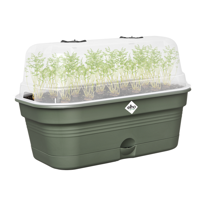 green basics kweektray allin1 m blad groen